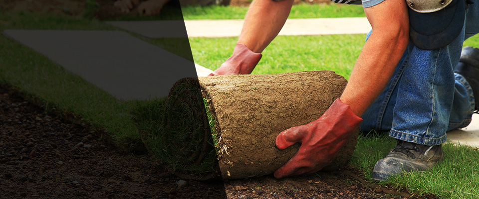 Eastpointe Landscapers